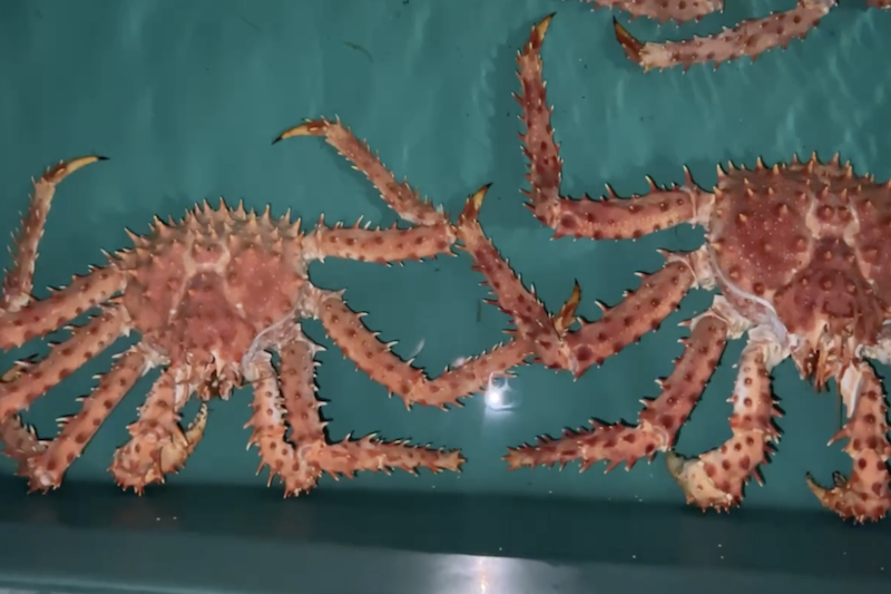 Captura de pantalla 2025-01-14 a la(s) 12.13.34 p.m.